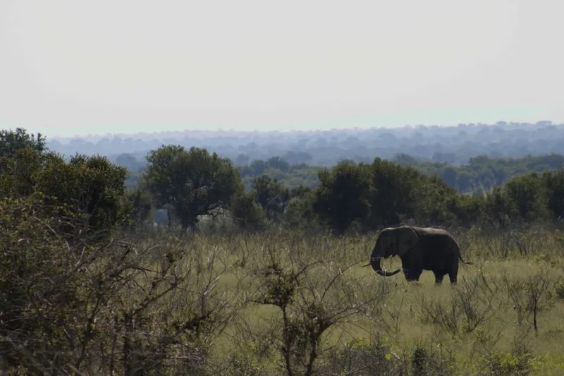 Kruger National Park